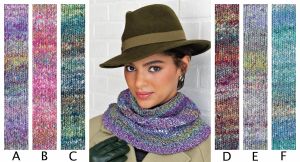 Noro Autumn River Cowl Kit